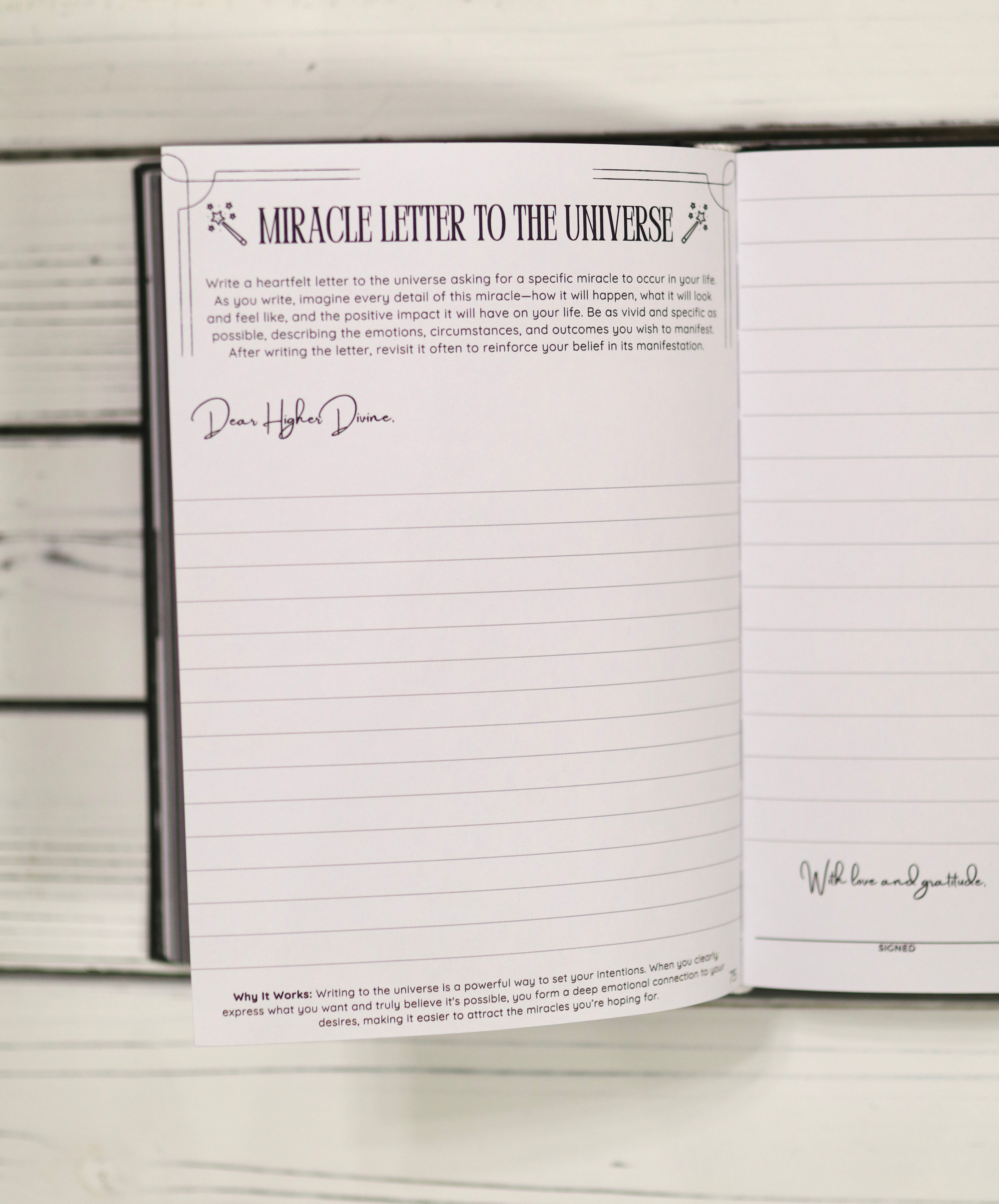 Manifestation Journal