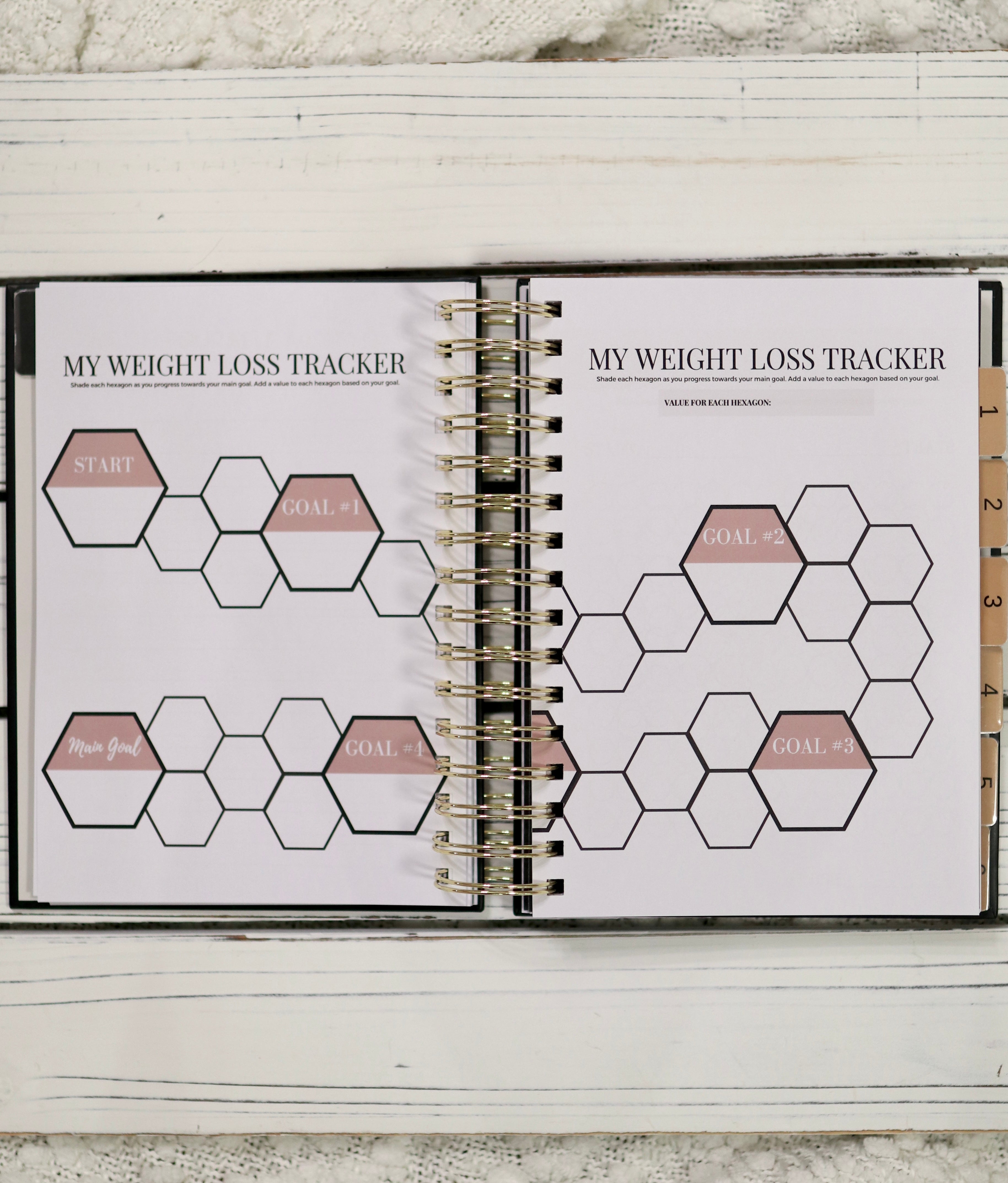 Fitness and Wellness Journal - 6 Months