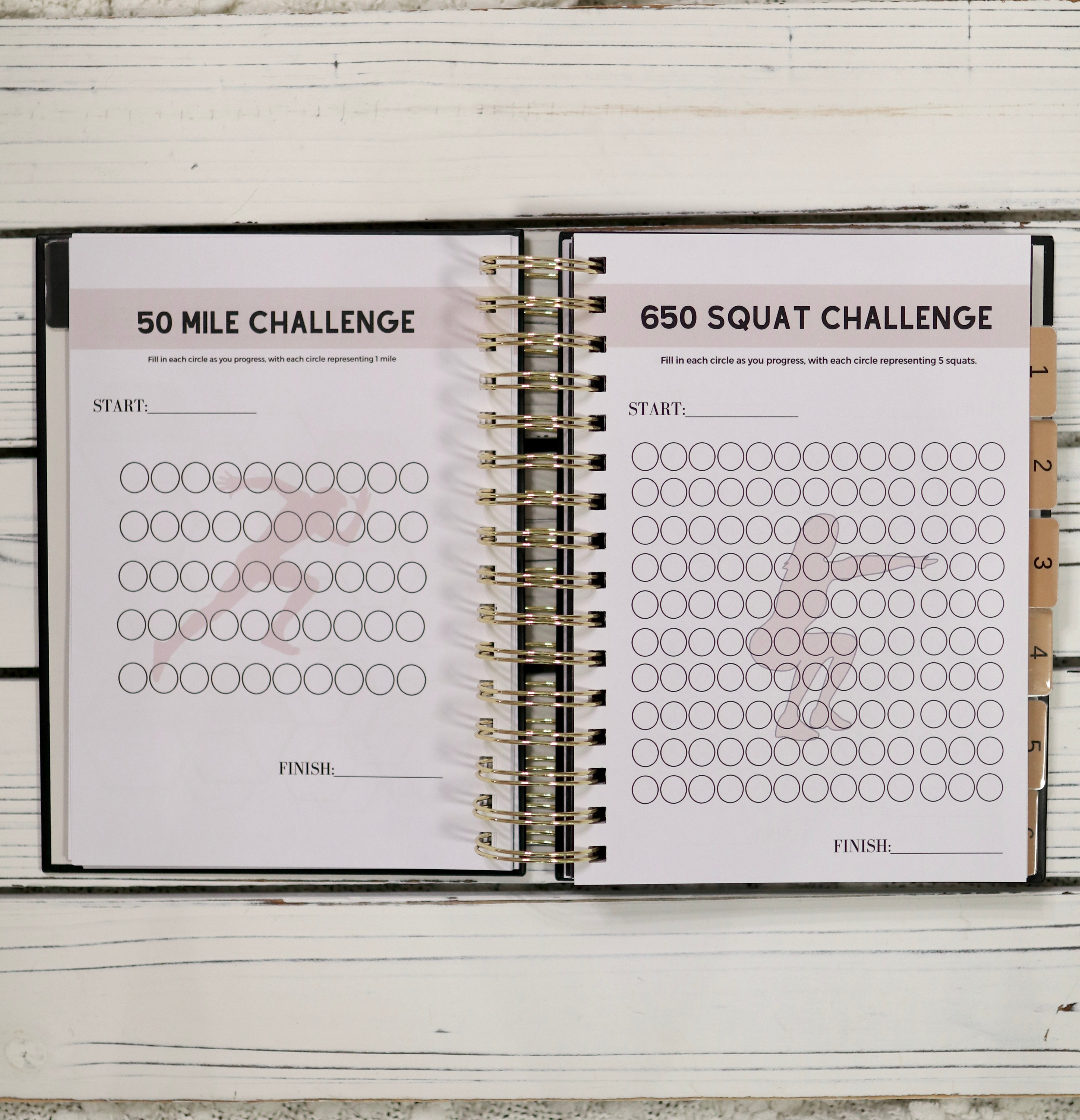 Fitness and Wellness Journal - 6 Months