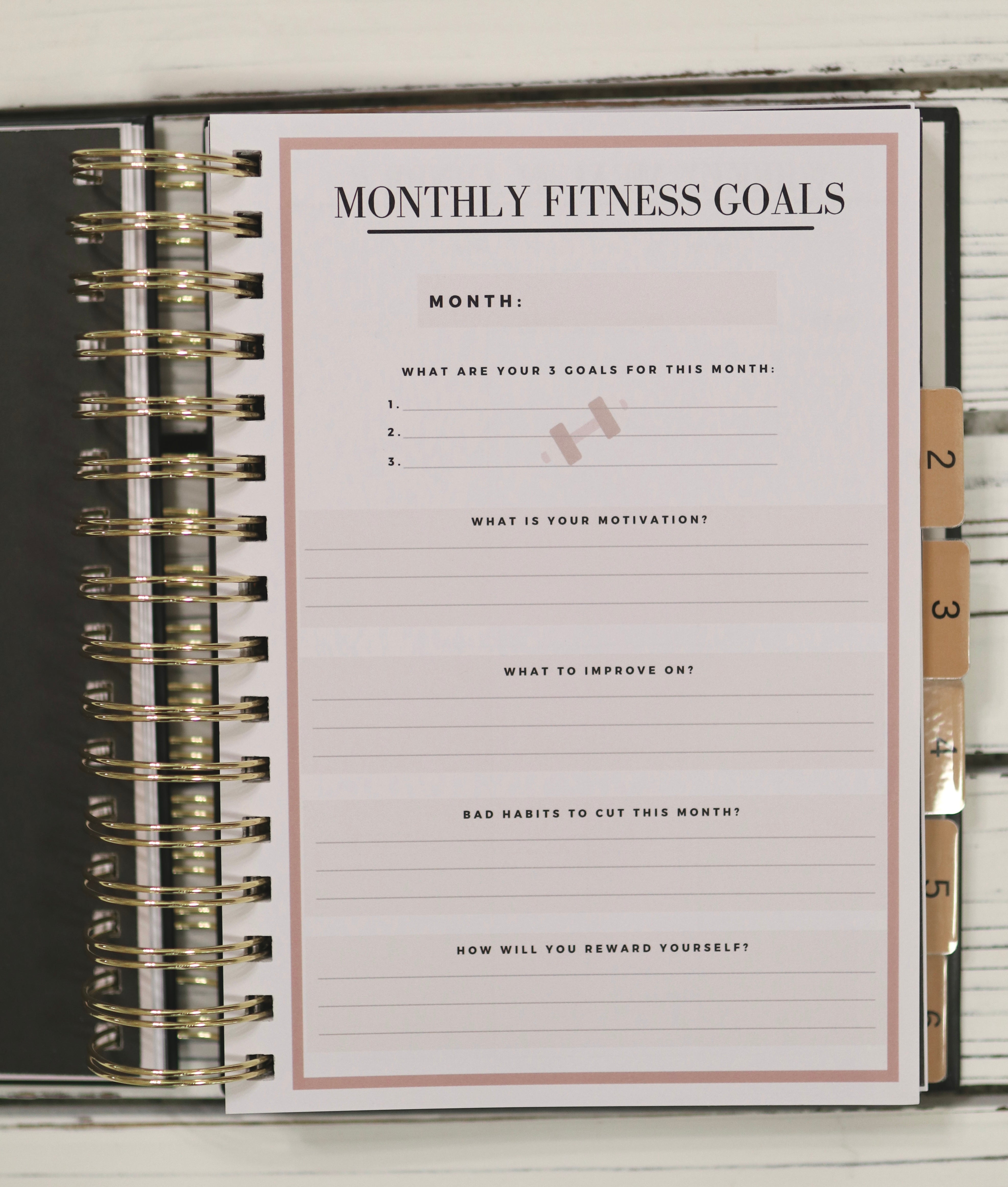 Fitness and Wellness Journal - 6 Months