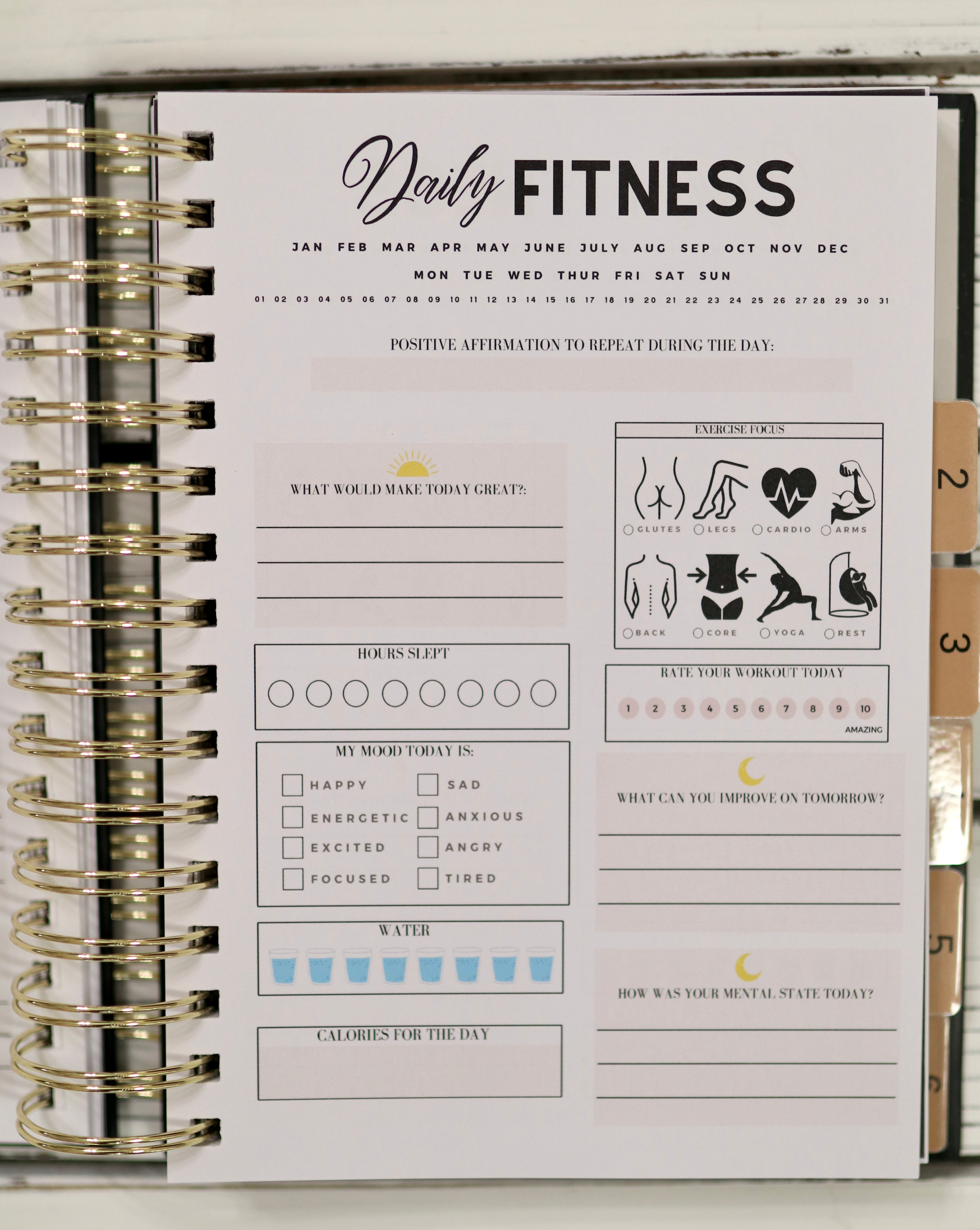 Fitness and Wellness Journal - 6 Months